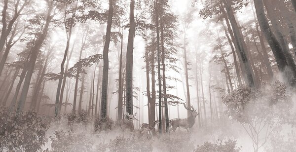 Fototapeta Grupa jeleni w lesie, Fototapety Natura, Popularne Fototapety, u93893 - Tapeko.pl