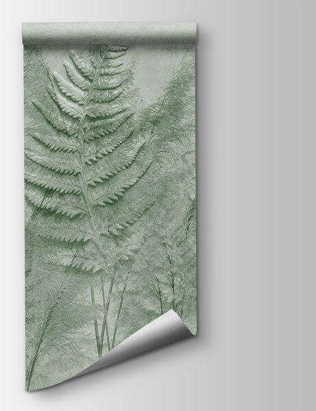 Fototapeta Liście paproci w ścianie, Fototapety Natura, Popularne Fototapety, w03316v2 - Tapeko.pl