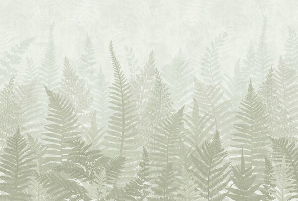 Fototapeta Liście paproci w mglistym otoczeniu, Fototapety Natura, Popularne Fototapety, w03402 - Tapeko.pl