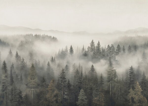 Fototapeta Las z mgłą i górami, Fototapety Natura, Popularne Fototapety, w03524 - Tapeko.pl