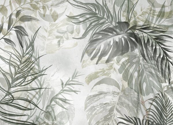 Fototapety Monstera i liście palmy w odcieniach zieleni i szarości, botaniczne, tropikalne liście, rośliny, Fototapety Natura, w09011 : Uwalls.pl
