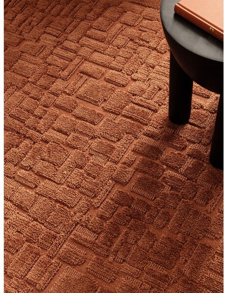 Dywan w kolorze terakoty 200x290 cm – Asiatic Carpets