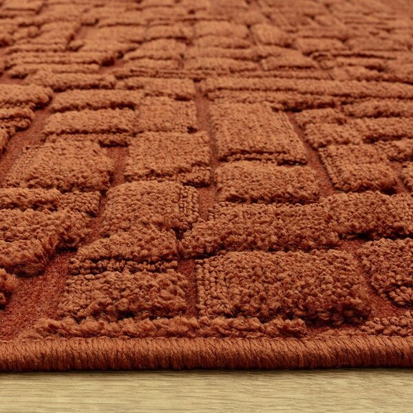 Dywan w kolorze terakoty 200x290 cm – Asiatic Carpets