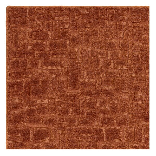 Dywan w kolorze terakoty 200x290 cm – Asiatic Carpets