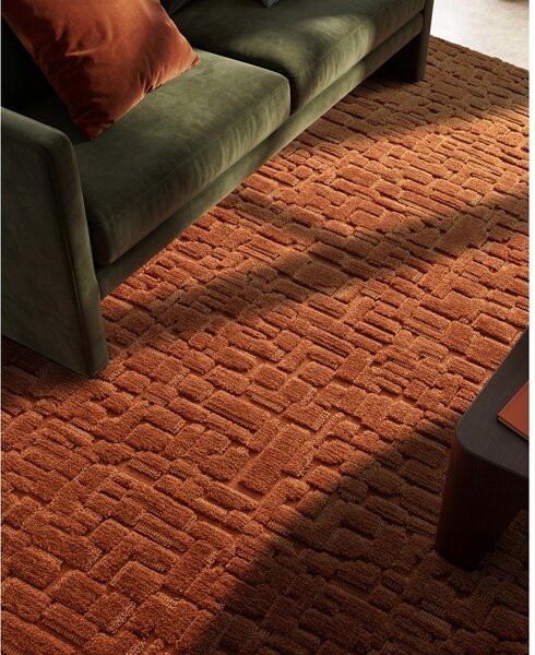 Dywan w kolorze terakoty 200x290 cm – Asiatic Carpets