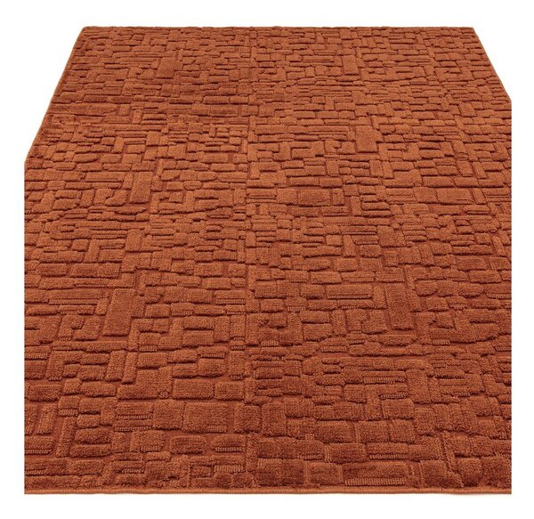 Dywan w kolorze terakoty 200x290 cm – Asiatic Carpets