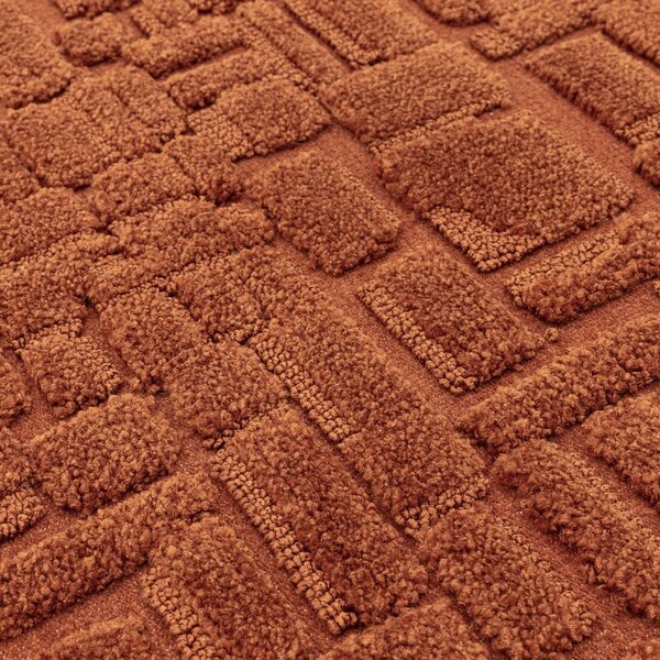Dywan w kolorze terakoty 200x290 cm – Asiatic Carpets