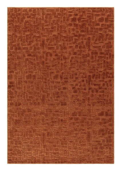 Dywan w kolorze terakoty 200x290 cm – Asiatic Carpets
