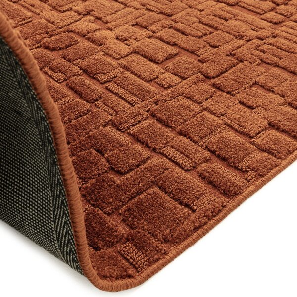 Dywan w kolorze terakoty 200x290 cm – Asiatic Carpets