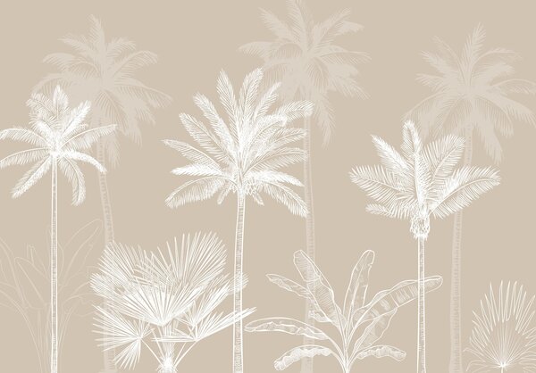 Fototapeta Grupa palm, Fototapety Natura, Popularne Fototapety, w03831 - Tapeko.pl