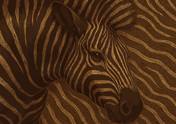 Fototapeta Zebra w abstrakcyjnych zawirowaniach kolorów, Fototapety Abstrakcja, Popularne Fototapety, t00011 - Tapeko.pl