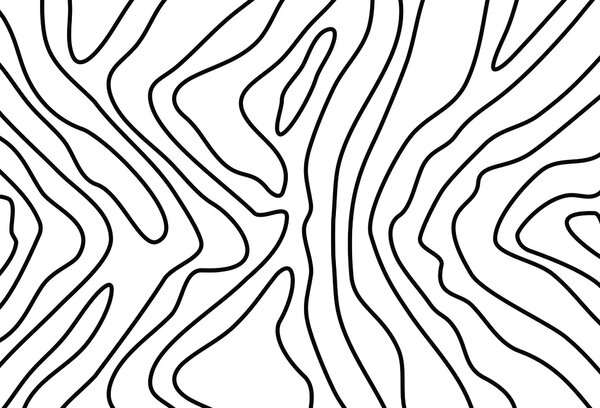 Fototapeta Czarno-biały wzór, Nowoczesne Fototapety, Popularne Fototapety, t00070 - Tapeko.pl