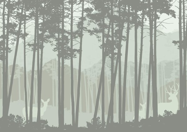 Fototapeta Grupa drzew w lesie, Fototapety Natura, Popularne Fototapety, t00081v1 - Tapeko.pl