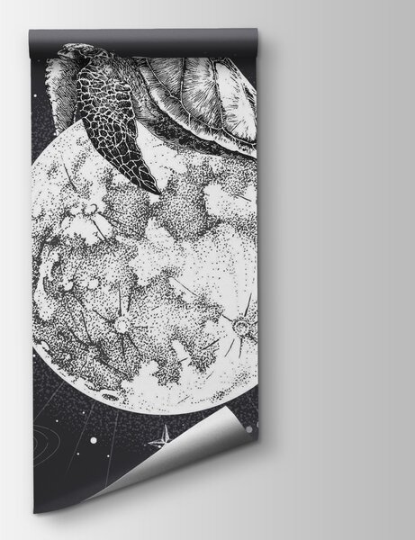 Fototapeta Żółw na księżycu, Fototapety Kosmos, Popularne Fototapety, t00180 - Tapeko.pl