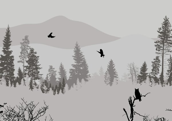 Fototapeta Ptaki latające nad zaśnieżoną górą, Fototapety Natura, Popularne Fototapety, t00323 - Tapeko.pl