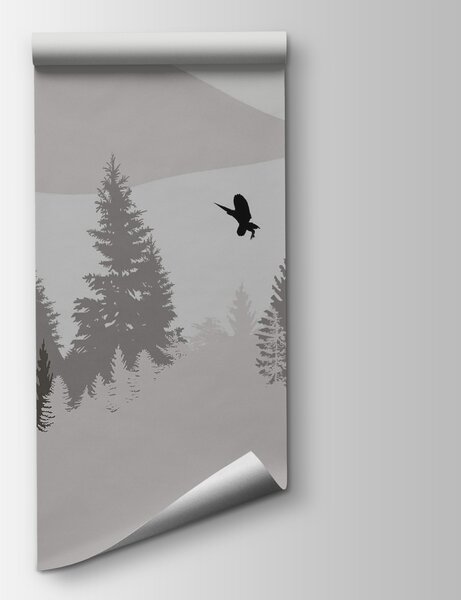 Fototapeta Ptaki latające nad zaśnieżoną górą, Fototapety Natura, Popularne Fototapety, t00323 - Tapeko.pl