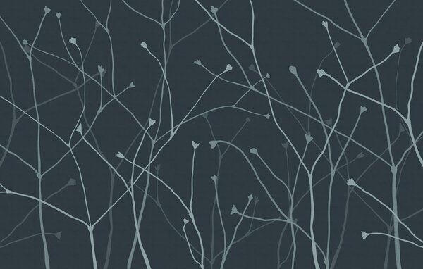 Fototapeta Delikatne gałęzie na ciemnym tle, Fototapety Natura, Popularne Fototapety, t00329v1 - Tapeko.pl