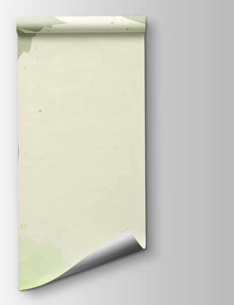 Fototapeta Zielone liście i zawijasy na białym tle, Fototapety Liście, Popularne Fototapety, t00366 - Tapeko.pl