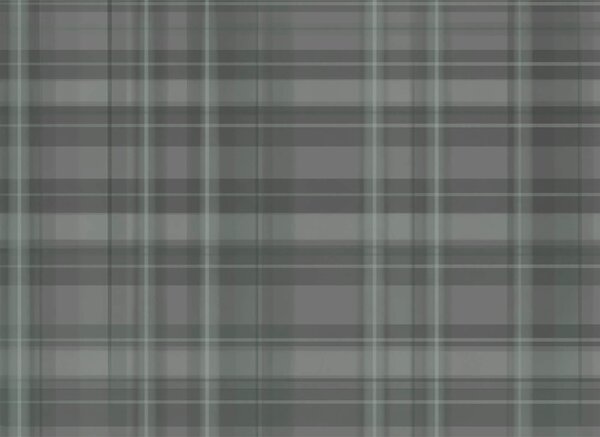 Fototapeta Szara i czarna krata, Fototapety Abstrakcja, Popularne Fototapety, t00359 - Tapeko.pl