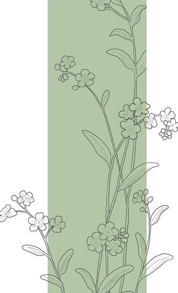 Fototapeta Rysowanie kwiatów i liści, Fototapety Kwiaty, Popularne Fototapety, t00413v1 - Tapeko.pl