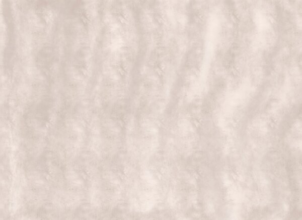 Fototapeta Spokojne i delikatne neutralne tło, Fototapety Faktury, Popularne Fototapety, t00423 - Tapeko.pl