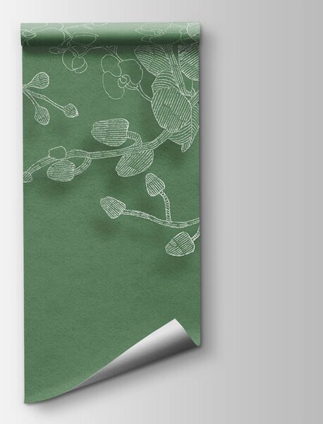 Fototapeta Delikatne orchidee na zielonym tle, Fototapety Kwiaty, Popularne Fototapety, t00526 - Tapeko.pl