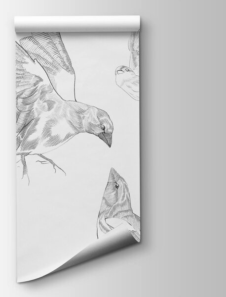 Fototapeta Grupa ptaków ze skrzydłami, Nowoczesne Fototapety, Popularne Fototapety, t00562 - Tapeko.pl