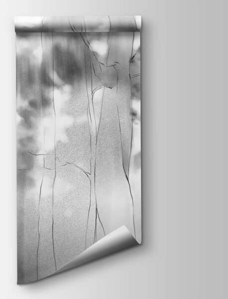 Fototapeta Czarno-białe zdjęcie drzew, Fototapety Las we mgle, Popularne Fototapety, t00567 - Tapeko.pl