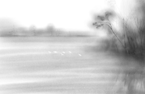 Fototapeta Ptaki na polu, Nowoczesne Fototapety, Popularne Fototapety, t00569 - Tapeko.pl