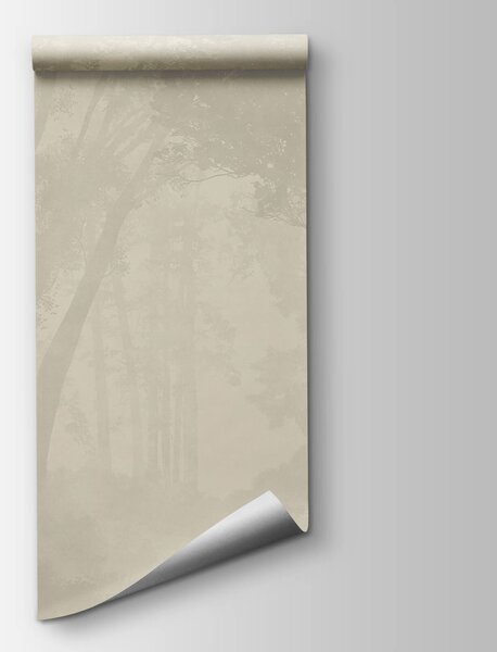 Fototapeta Zamglony las z drzewami, Fototapety Las, Popularne Fototapety, t00577 - Tapeko.pl