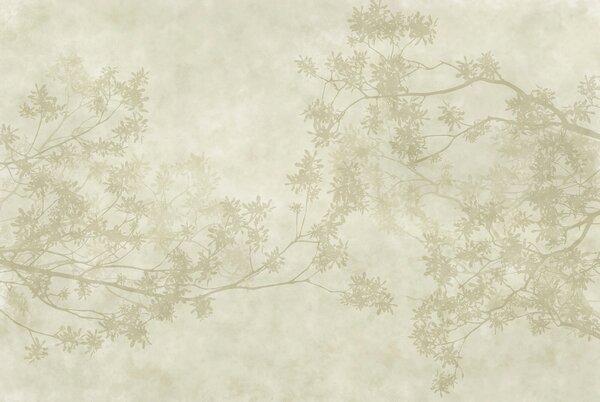 Fototapeta Wall murals Tree branches with leaves, Fototapety Liście, Popularne Fototapety, t00578 - Tapeko.pl