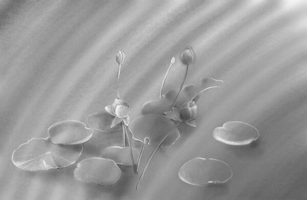 Fototapeta Spokojna scena z liliami wodnymi uchwycona w piękny sposób, Fototapety Kwiaty, Popularne Fototapety, t00603 - Tapeko.pl
