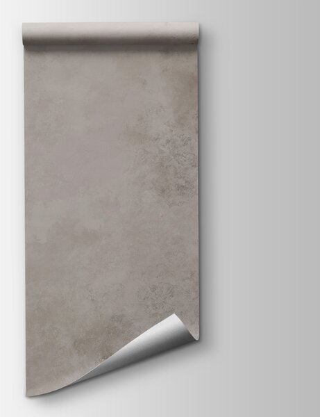 Fototapeta Brązowe liście na białym tle, Fototapety Liście, Popularne Fototapety, t00558 - Tapeko.pl