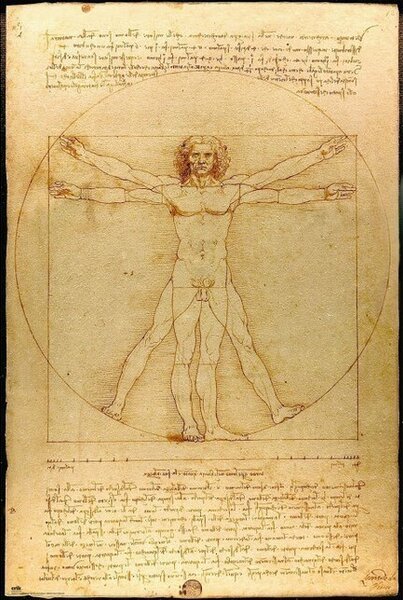 Plakat, Obraz Leonardo Da Vinci - Vitruvian Man, (61 x 91.5 cm)