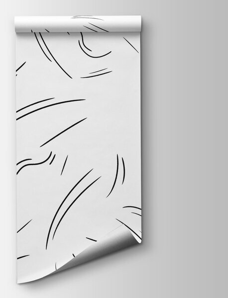Fototapeta Czarne linie na białym tle, Fototapety Abstrakcja, Popularne Fototapety, t00665 - Tapeko.pl