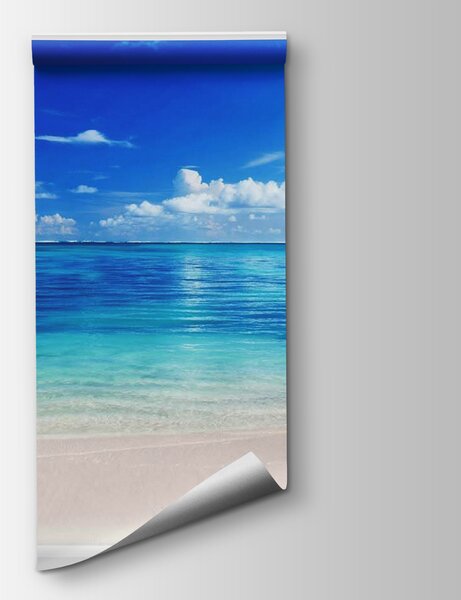 Fototapeta Okno, przez które wylatują ptaki, Fototapety Morze i Plaża, Popularne Fototapety, u03352 - Tapeko.pl