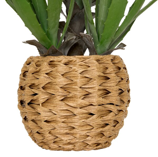 Sztuczna agawa MODA w plecionej doniczce, wys. 61 cm