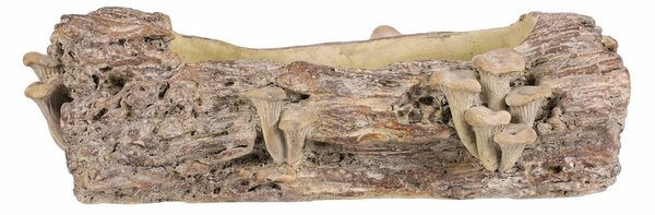 Opakowanie betonowe - skrzynka, drewno z grzybami,41 x 19 x 13 cm, brązowe, 41 cm