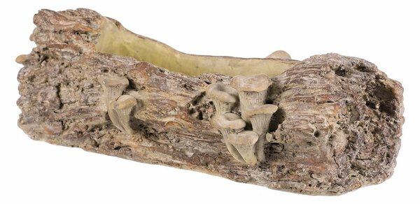 Opakowanie betonowe - skrzynka, drewno z grzybami,41 x 19 x 13 cm, brązowe, 41 cm