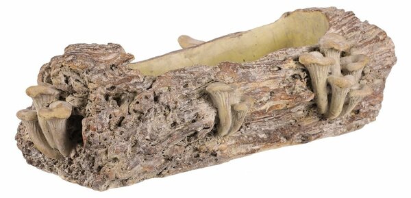 Opakowanie betonowe - skrzynka, drewno z grzybami,41 x 19 x 13 cm, brązowe, 41 cm