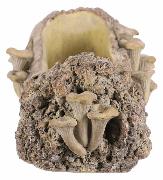 Opakowanie betonowe - skrzynka, drewno z grzybami,41 x 19 x 13 cm, brązowe, 41 cm