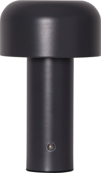 Szara lampa stołowa LED (wysokość 21,5 cm) Bobby – Star Trading