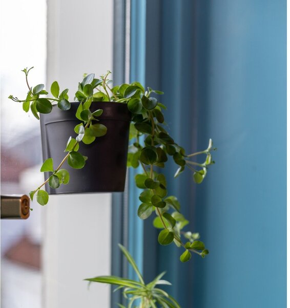 Plastikowe wiszące i ścienne doniczki zestaw 2 szt. ø 10 cm – Esschert Design