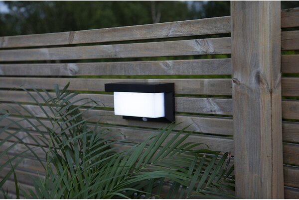 Kinkiet solarny LED Star Trading Valla, 20x12 cm