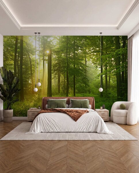 Fototapety Cisza w słonecznym lesie, Fototapety Natura, u57295 : Uwalls.pl