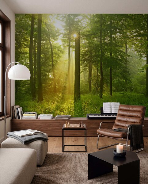 Fototapety Cisza w słonecznym lesie, Fototapety Natura, u57295 : Uwalls.pl