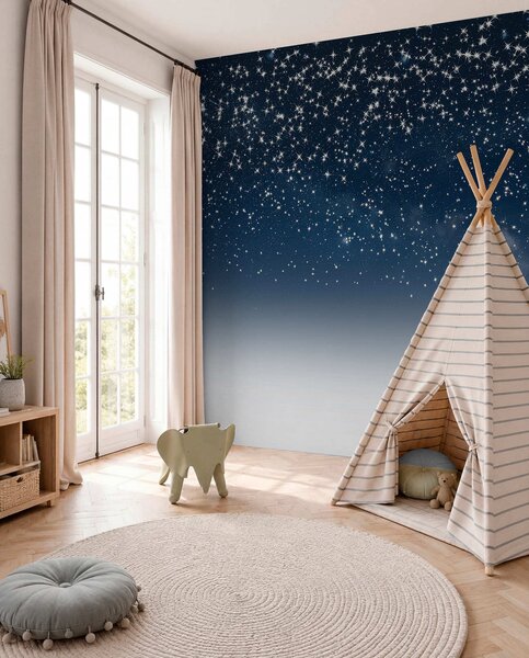 Fototapety Rozgwieżdżone nocne niebo, miękki gradient, kosmos, konstelacje, Fototapety Kosmos, w01797v1 : Uwalls.pl