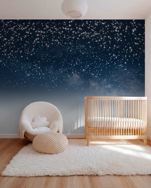 Fototapety Rozgwieżdżone nocne niebo, miękki gradient, kosmos, konstelacje, Fototapety Kosmos, w01797v1 : Uwalls.pl