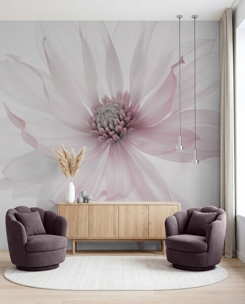 Fototapety Delikatny różowy kwiat na jasnym tle, Fototapety Kwiaty, w02077v2 : Uwalls.pl