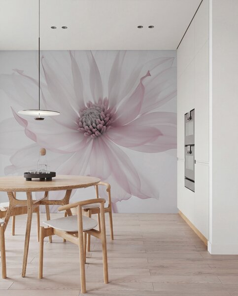 Fototapety Delikatny różowy kwiat na jasnym tle, Fototapety Kwiaty, w02077v2 : Uwalls.pl